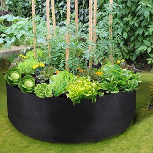 NWT Vegetable Plants Pot Growing Container